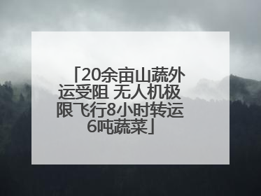 20余亩山蔬外运受阻 无人机极限飞行8小时转运6吨蔬菜